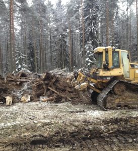 Вывоз древесины по выгодной цене